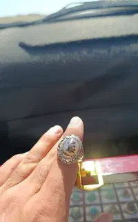 شجر