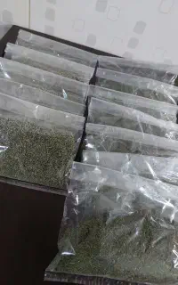 شوید و مرزه