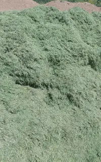 یونجه کوبیده
