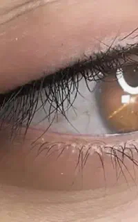 مدل بن مژه شیدلب و میکرو ابرو فقط۵۰۰ هزار تومان