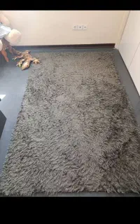 فرش تدی