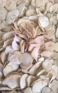 مو سیر کوهی تازه. و گل محمدی خشک عدس