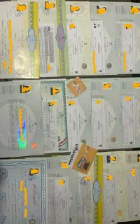مدرک تحصیلی/آموزشگاه/ارتغا شغلی/مهاجرت