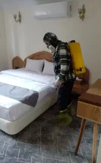 سمپاشی کلیه حشرات سم پاشی سوسک ساس کنه  با ضمانت
