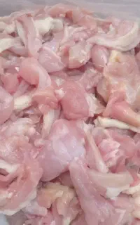 گوشواره مرغ