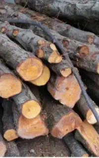برش وخریدچوب