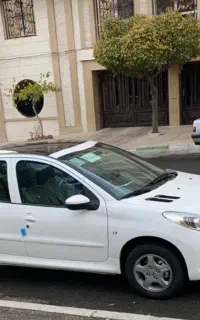 ۲۰۷ پانا خشک رینگ تحویل روز
