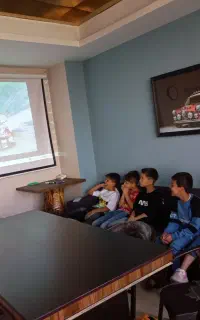 سلولهای خاکستری