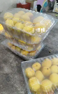 نیرو خانوم زبر زرنگ  بسته بندی میوه