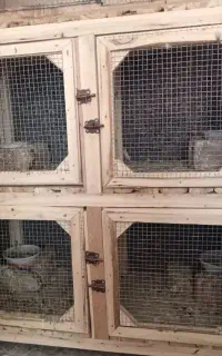 قفس چوبی درحد نو