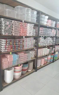 دنیای پلاسکو