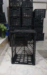 سبدمیوه