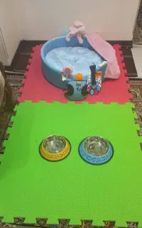 ملزومات سگ