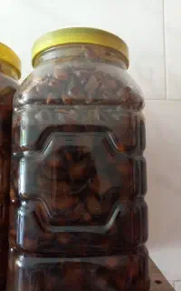 سیرتورشی