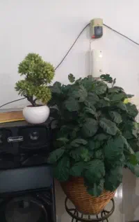 گل مصنوعی