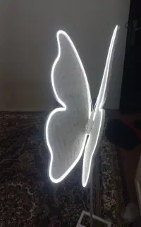 پروانه تولد