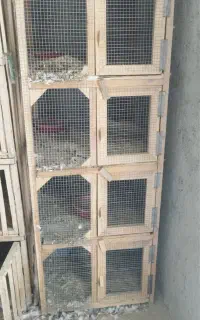 جفت کن یا قفس کبوتر