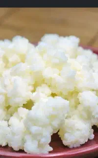 قارچ کفیر