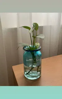 گل با گلدان