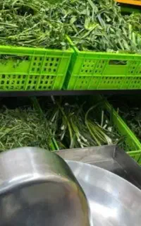 مغازه سبزی خورد کن و آبمیوه گیری در فارسان