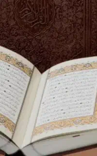 س ر کتا ب اقا سید