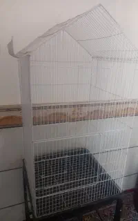 قفس نو