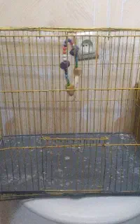 قفس پرنده