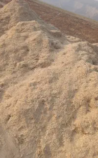 کاه