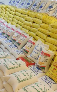 برنج ایرانی باچک صیادی بدون پیش پرداخت باچک۳ ماهه