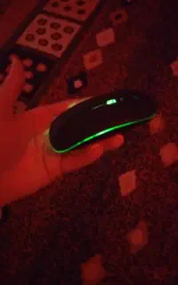 Wireless Mouse.