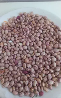 لوبیا چیتی