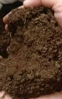 فروش کود حیوانی (اسب) آفتاب خورده آماده استفاده