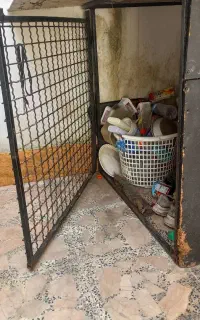 لونه سگ