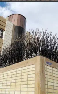 کد ۴۸.ارزان.نرده شاخ گوزنی.دیدن برابر خرید
