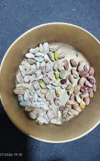 خرید پسته کالک واجاره باغ برای کال