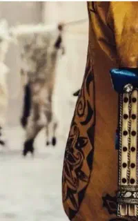 نی انبان