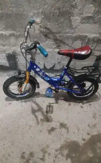 دوچرخه ۱۲