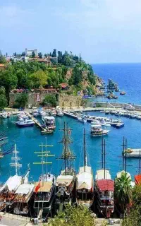 تورهای داخلی وخارجی