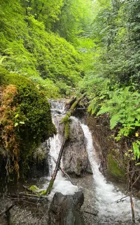 طبیعتگردی/گیلان/ماسال