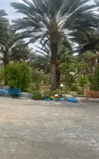 کارگر جهت امور دایمی باغ