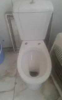 توالت فرنگی
