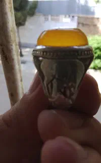 شرف شمس لانه زنبوری