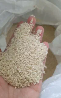 برنج نمیدانه هاشمی امسال