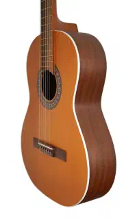 گیتار پارسی p40