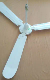 پنک سقفی