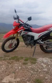 فلات200Crf