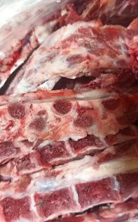 استخوان راسته گوسفندی