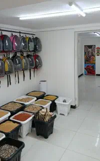 ملزومات پرندگان پرنده ، گیرینچیک، طوطی ، راهب
