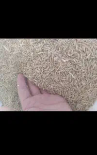 جو دیمه فروشی ۱.۵ تن