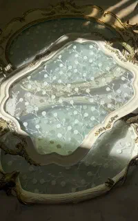 سینی فوق لاکچری